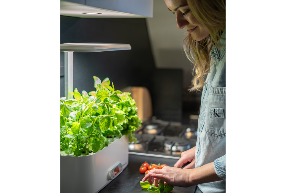 Odling inomhus med VeggieTable