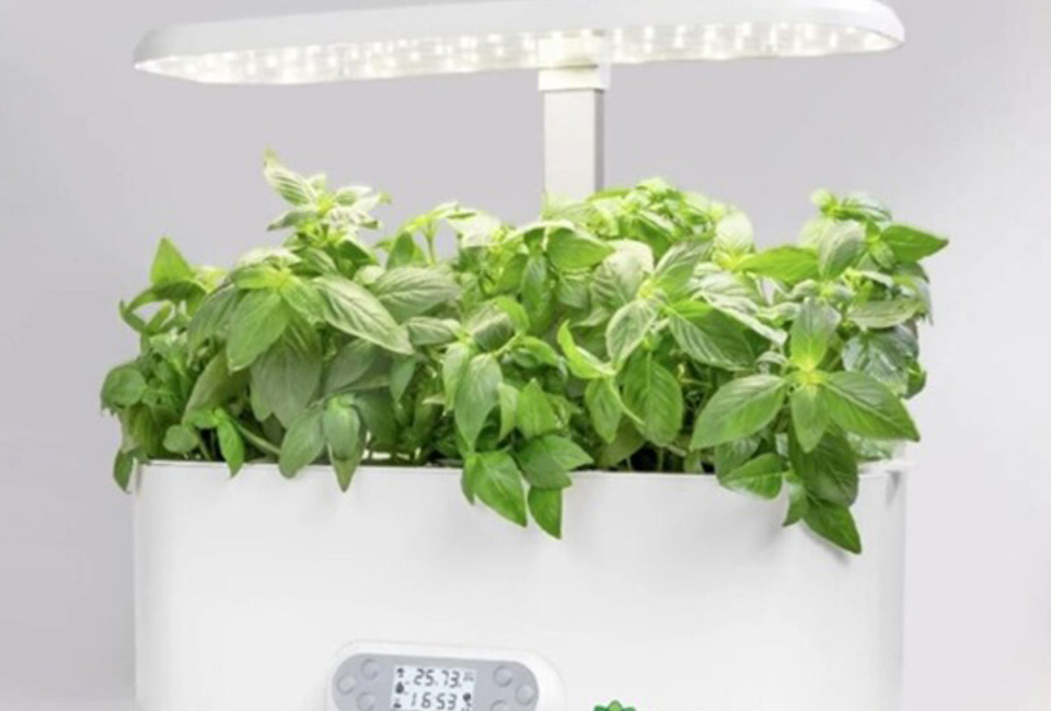 Odling inomhus med VeggieTable