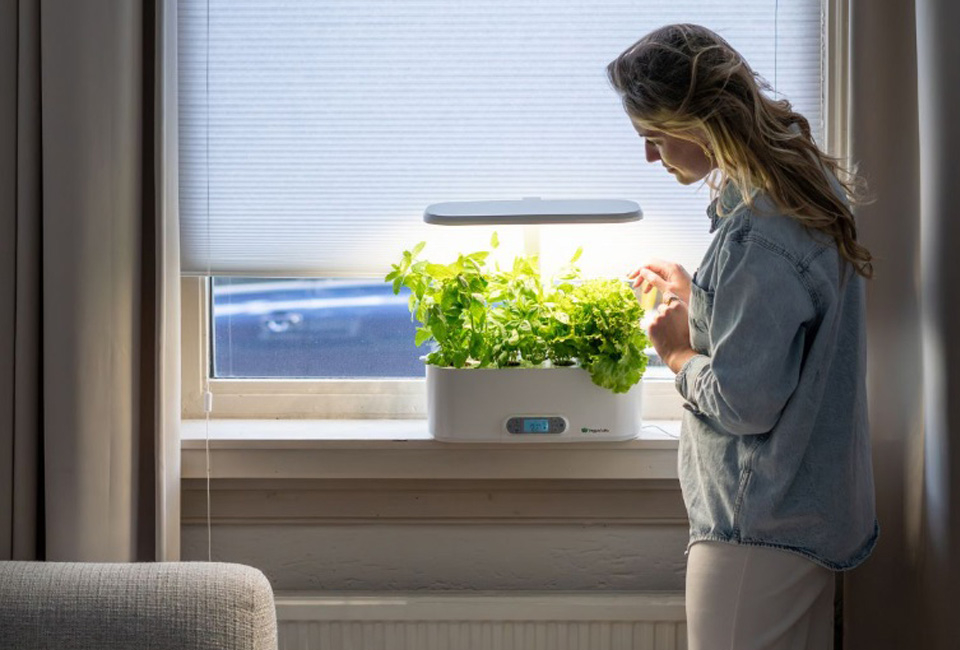 Odling inomhus med VeggieTable