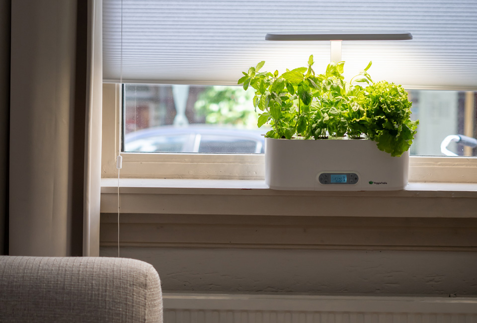 Odling inomhus med VeggieTable