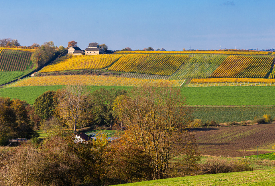 Kasteelverblijf in Lanaken, Limburg (BE)