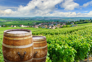 Découvrez le luxe et le charme de la Champagne