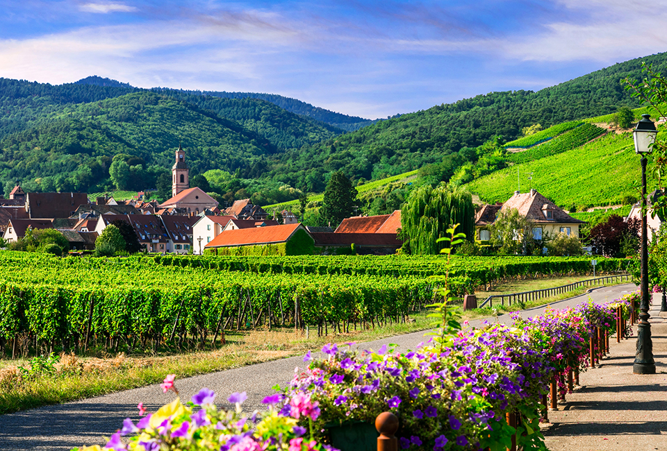 K&ouml;stlicher Aufenthalt (2, 3 oder 4 N&auml;chte) mit Wellness mit Abendessen im malerischen Elsass - Wellness H&ocirc;tel du Parc***