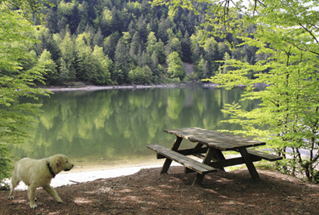Agréable séjour de 2, 4 ou 5 nuits avec dîner dans un village pittoresque alsacien - Wellness Hôtel du Parc***