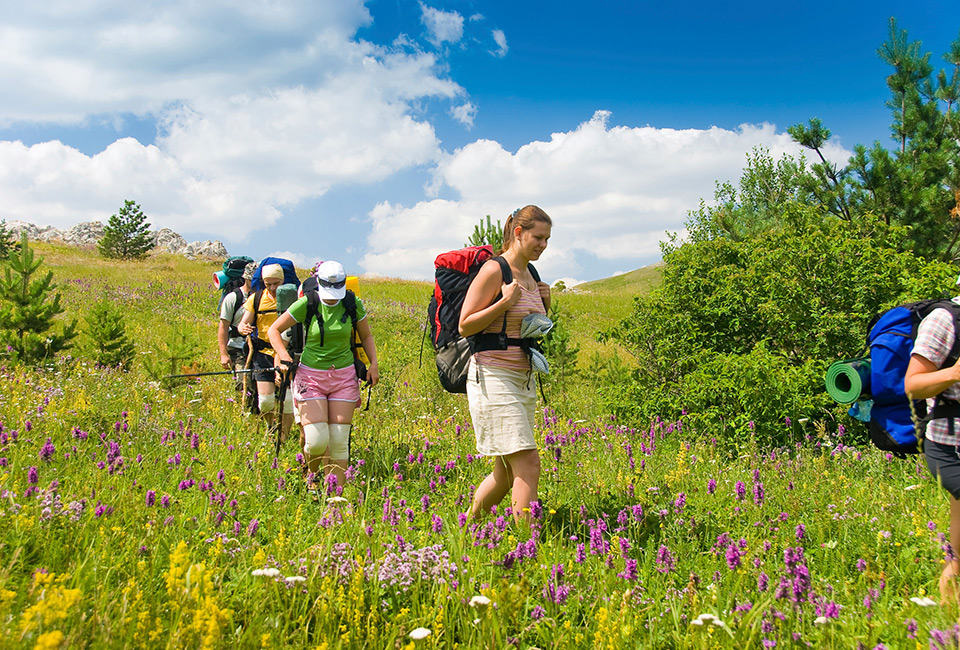 Zomer in het Oostenrijkse Zillertal