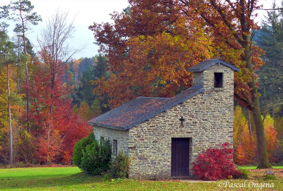 2 of 3 nachten in de Ardennen