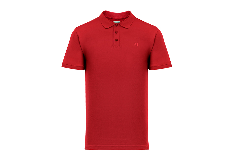 Elegant polo shirt for men