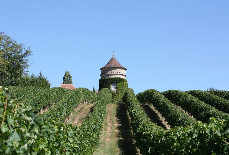 &Agrave; la d&eacute;couverte de la Dordogne