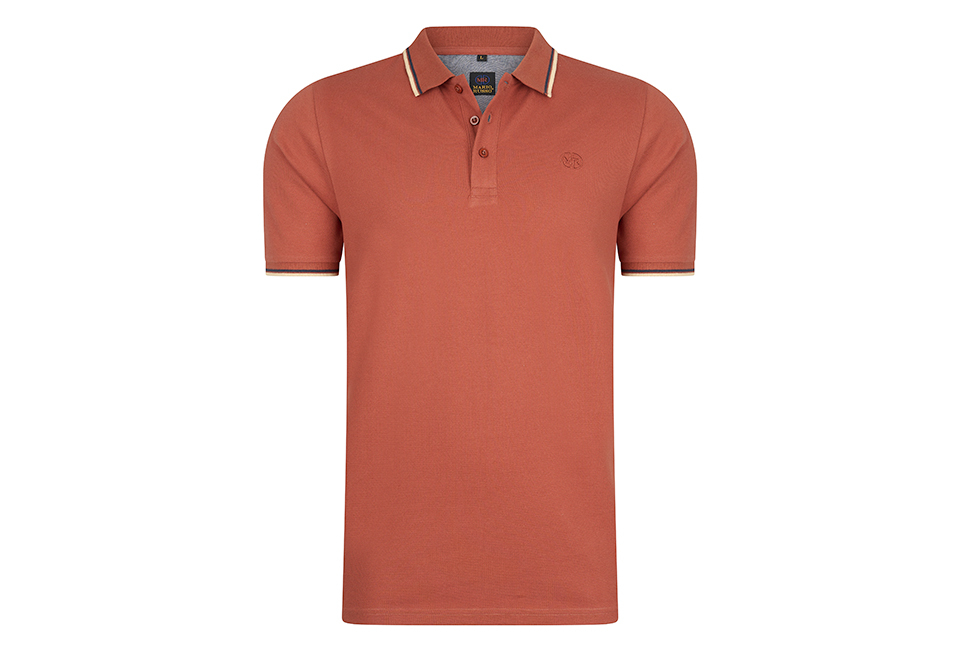 Elegant polo shirt for men