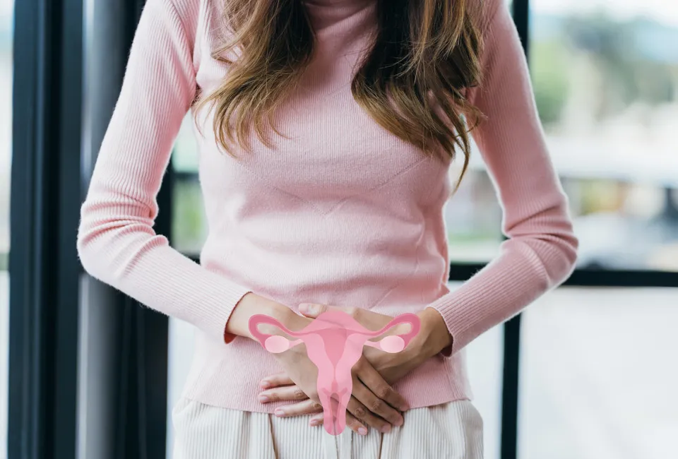 Conjunto de 30 adesivos para a menopausa