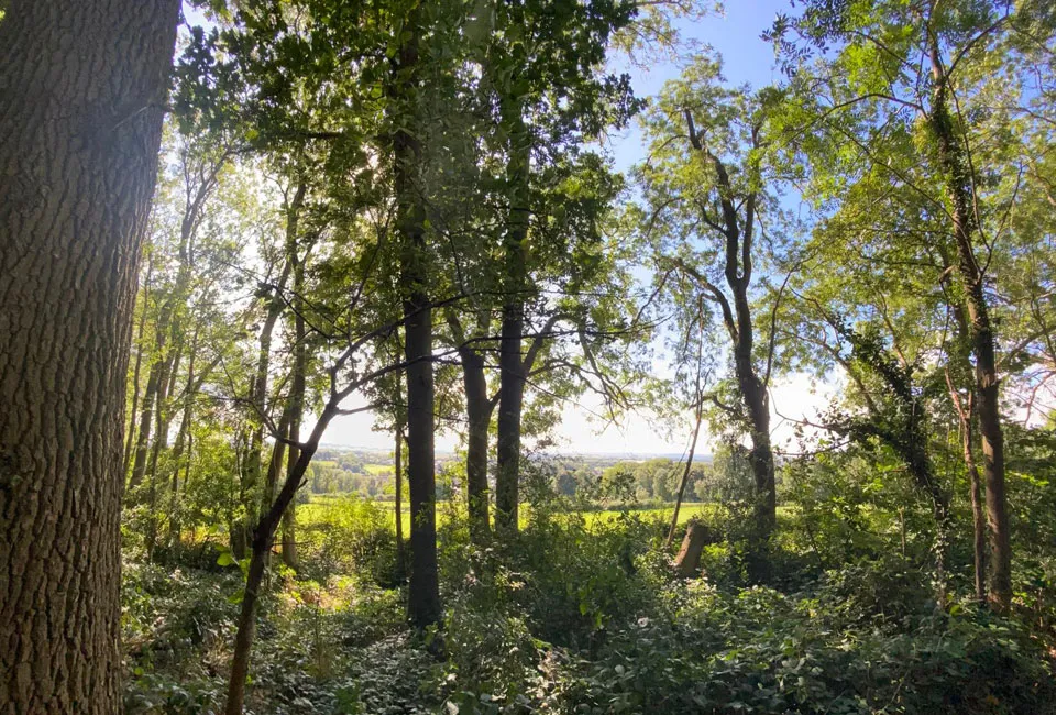 Wandelen en genieten in het hart van de Voerstreek