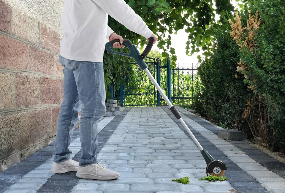 Elektrische Unkrautb&uuml;rste