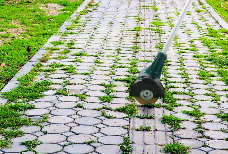 Elektrische Unkrautb&uuml;rste