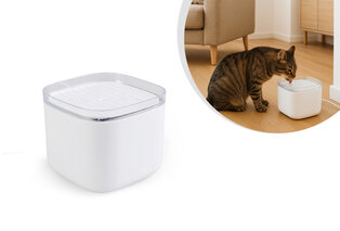 Abreuvoir pour animaux de compagnie