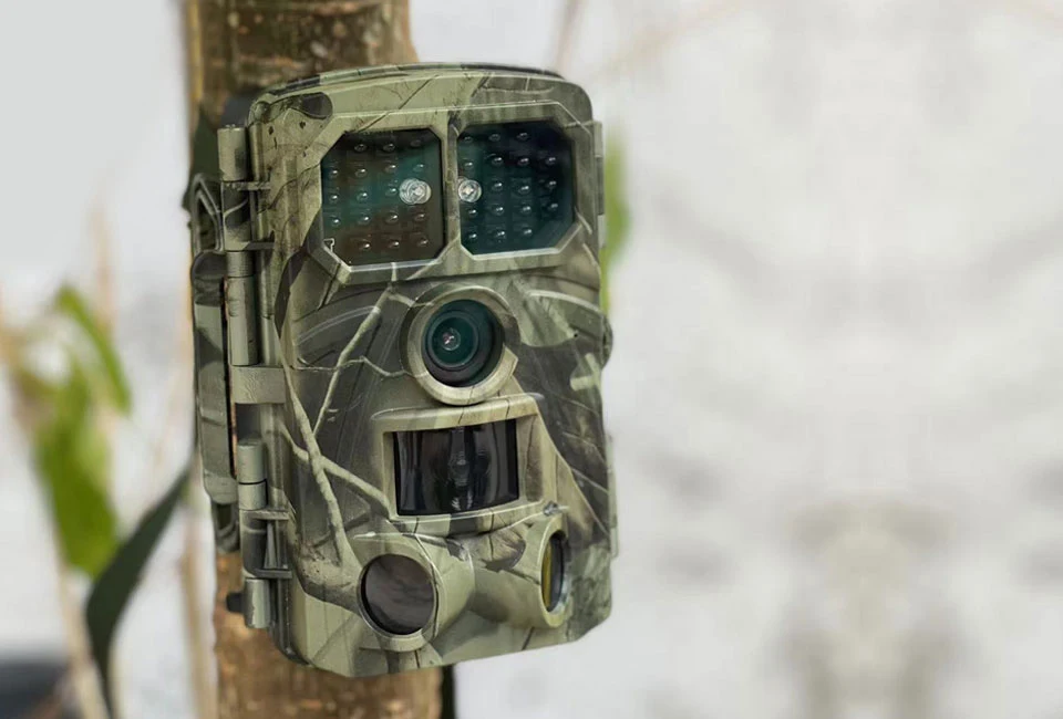 Wildlife-Kamera mit Nachtsichtfunktion