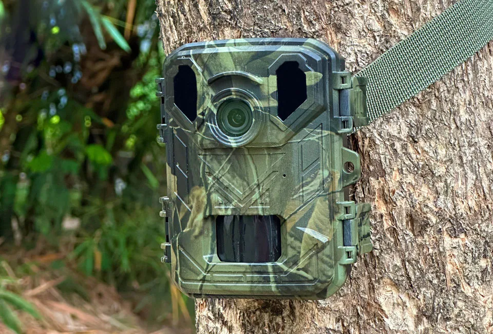 Wildlife-Kamera mit Nachtsichtfunktion