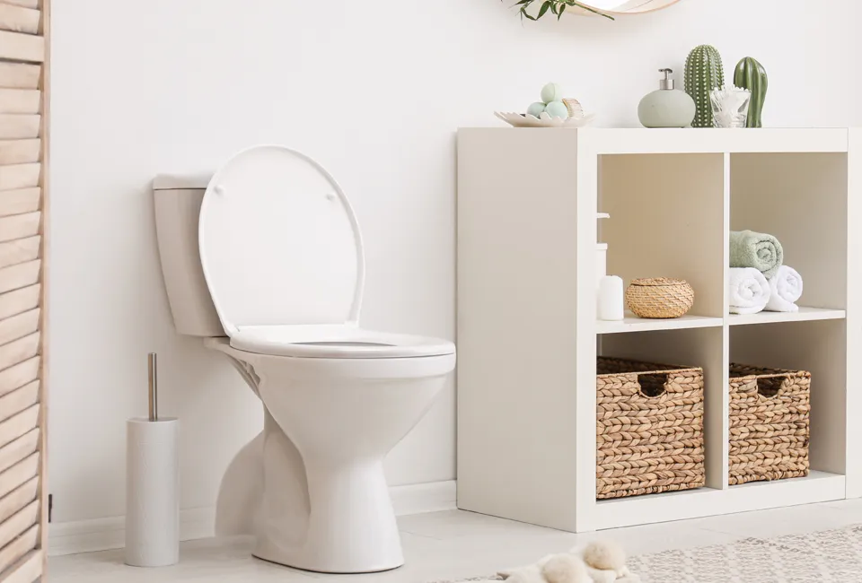 Asiento de inodoro con cierre suave