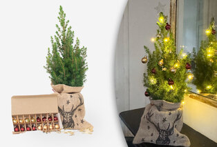 Mini sapin de Noël dans un sac en jute avec lumière et décoration
