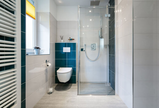 Anti-leak strip for the shower door