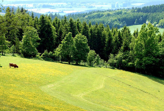 2, 4 ou 6 nuits en pleine nature dans la maison de vacances de Lounge (jusqu'à 10 personnes) dans les Ardennes belges