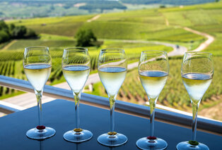 2, 3 oder 4 Nächte mit Abendessen inmitten französischer Weinberge in der Champagne Ardennen - Hotel Le Relais du Vigneron — 11