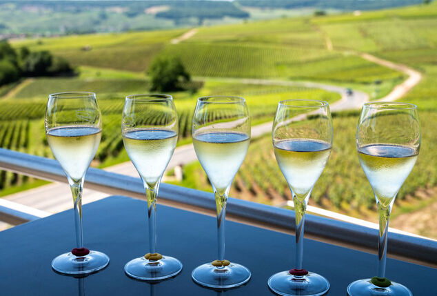 2, 3 oder 4 Nächte mit Abendessen inmitten französischer Weinberge in der Champagne Ardennen - Hotel Le Relais du Vigneron