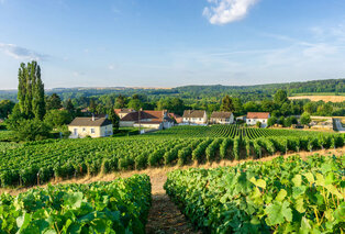 2, 3 oder 4 Nächte mit Abendessen inmitten französischer Weinberge in der Champagne Ardennen - Hotel Le Relais du Vigneron — 1