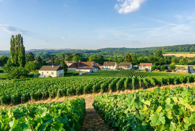 2, 3 oder 4 Nächte mit Abendessen inmitten französischer Weinberge in der Champagne Ardennen - Hotel Le Relais du Vigneron