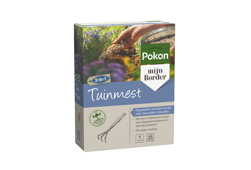 1, 2 ou 4 saules flamants XXL sur tige - Salix Hakuro Nishiki