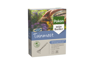 1, 2 ou 4 saules flamants XXL sur tige - Salix Hakuro Nishiki — 8