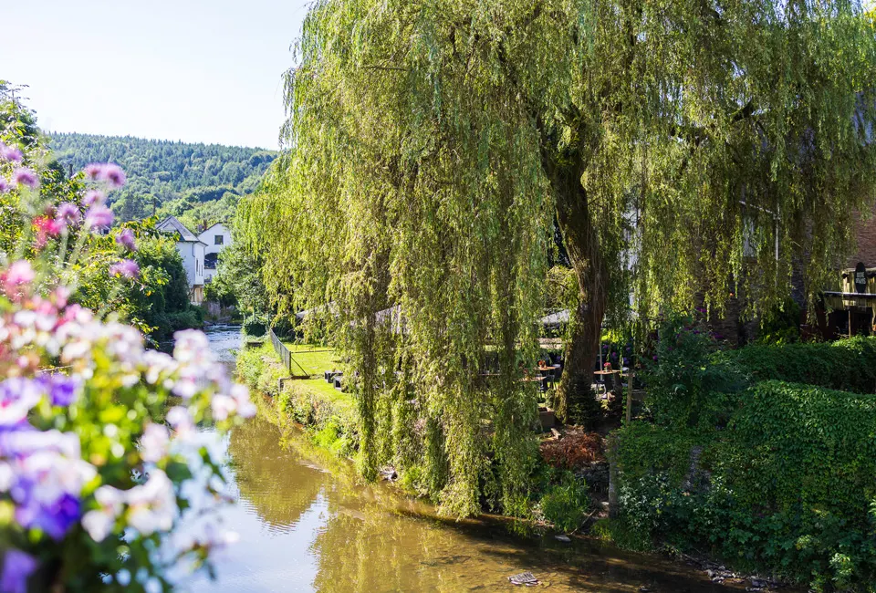 Séjour culinaire de 2 ou 3 nuits avec menu gibier (en saison) dans un hôtel 4 étoiles des Ardennes belges - Hôtel du Commerce****