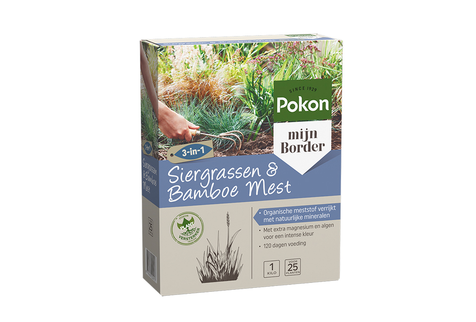 Set van 3 of 6 groene of rode bamboeplanten