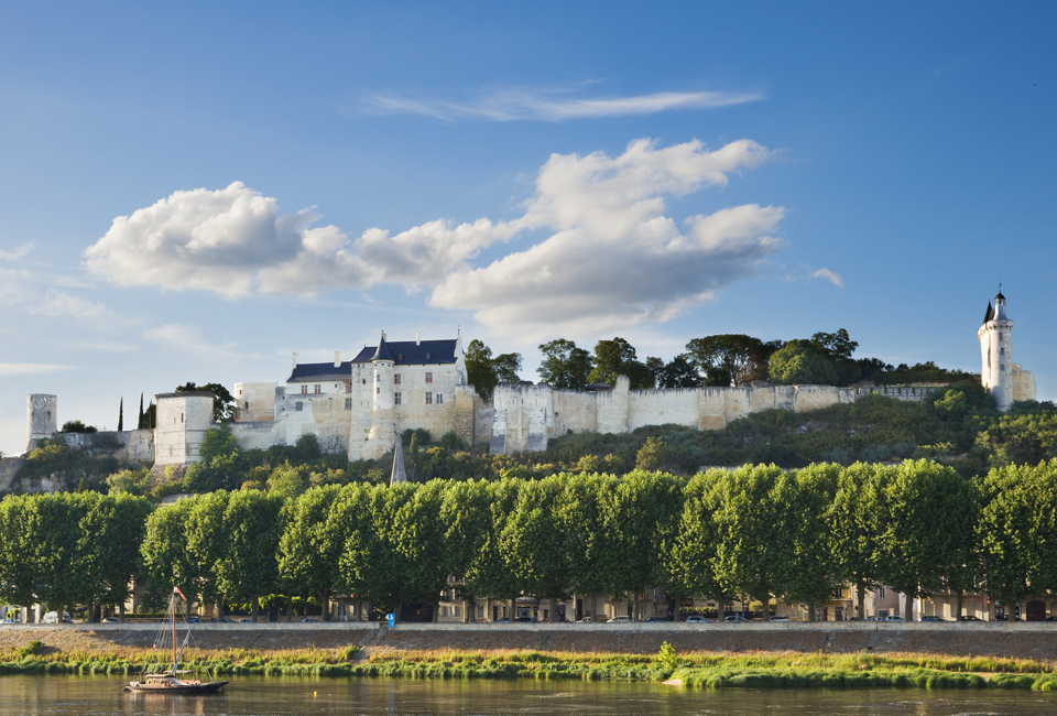 2, 4 of 5 ontspannende overnachtingen met diner midden in de wijngaarden van de Loirestreek - L’Auberge des Rois***