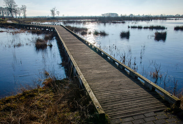 2 of 3 nachten ontspannen tussen natuur en wijn bij B&B Bed & Wijn