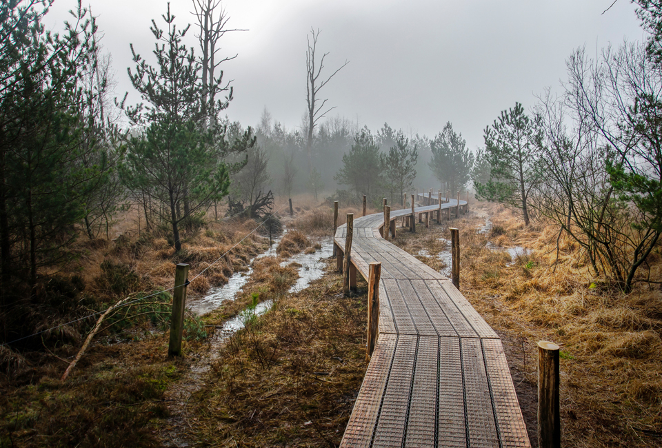2 of 3 nachten ontspannen tussen natuur en wijn bij B&B Bed & Wijn
