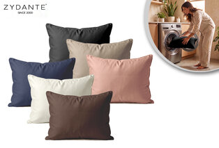 Practical washable pillow — 1