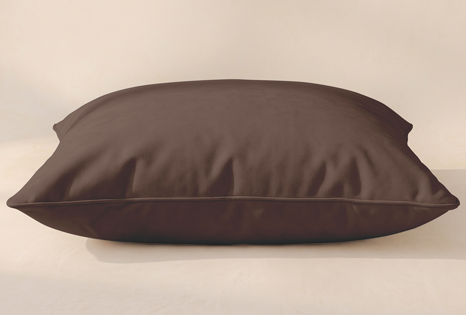 Practical washable pillow