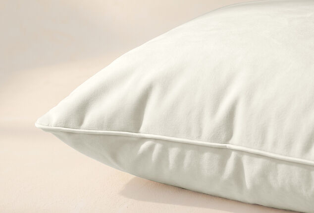 Practical washable pillow