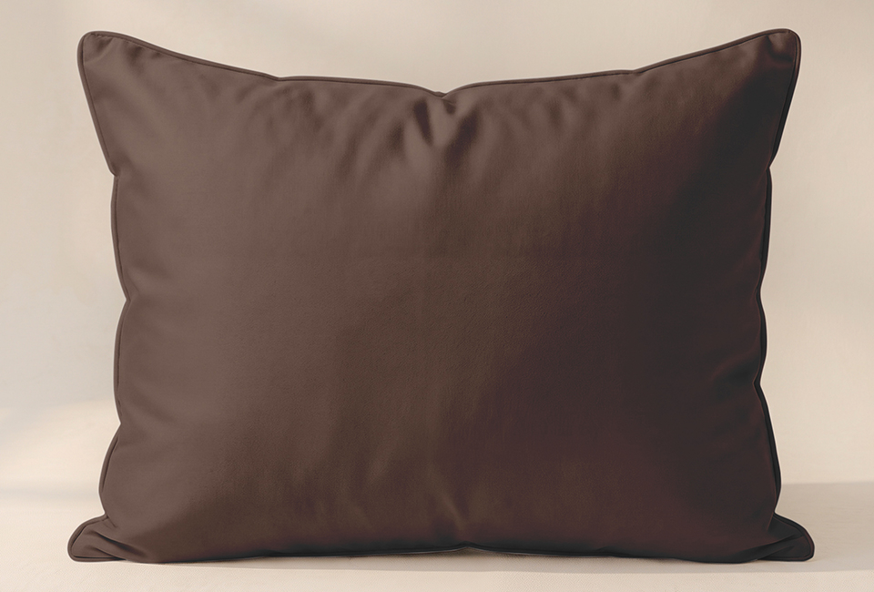 Practical washable pillow