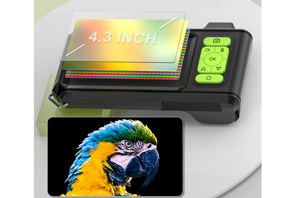 Practical endoscope with handy display