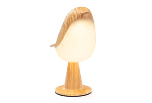 Atmospheric rechargeable bird lamp with 3 light colours — 2