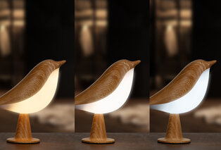 Atmospheric rechargeable bird lamp with 3 light colours — 4
