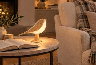 Atmospheric rechargeable bird lamp with 3 light colours — 5